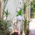 White Macrame Plant Hanager. 