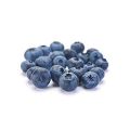 Blue Berries-1KG. 