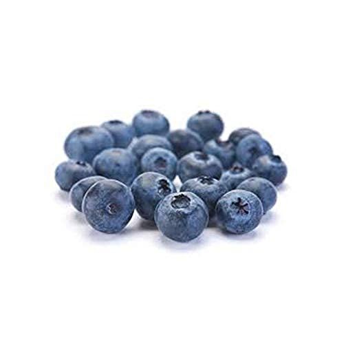 Blue%20Berries-1KG%20-%20Image%202