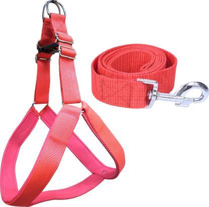 Dog%20Belt%20For%20Medium%20Dogs%203%20Cm%20For%20Medium%20Dogs%20-%20Image%202