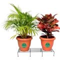 Gamala Stand / Flower Pot Stand. 