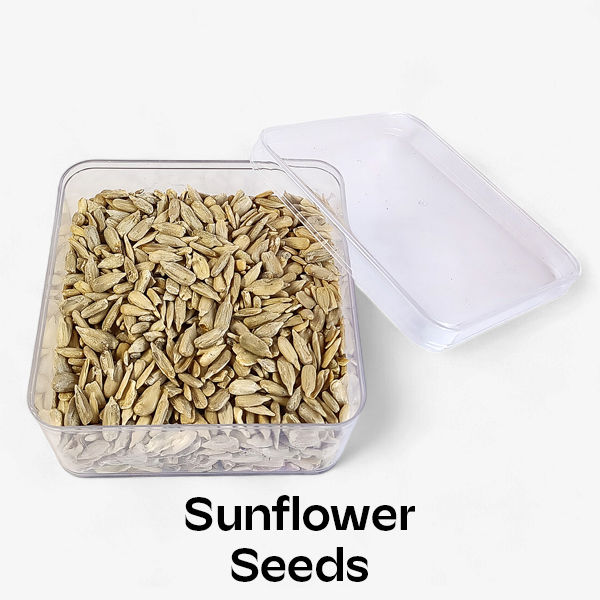 Sunflower Seeds 200 G in Container