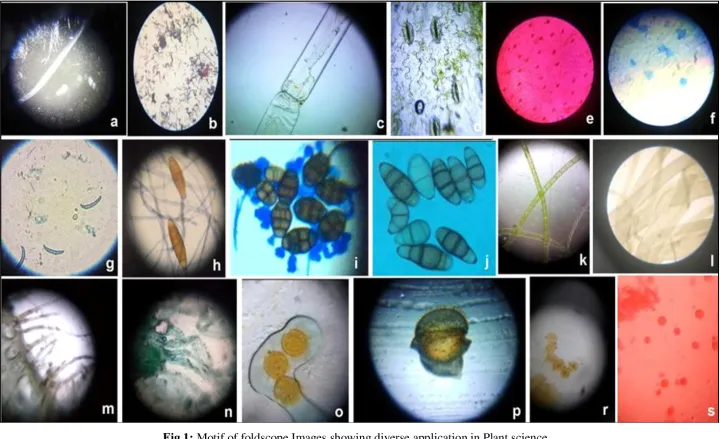 Foldscope%20Basic%20Kit%20DIY%20Educational%20Microscope%20-%20Image%207