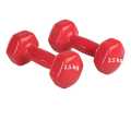 2.5Kg Vinyl Hex Dumbbells (Pair), 2.5 Kg Dumbell, 5 Kg Hexa Dumbells Total. 