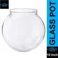 10 Inch Glass Pot Bowl Aquarium By Crown Aquatics. 