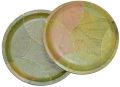 TMS Pack of 200 Eco-friendly Bio Degradable Disposable Dinner Plate | | Compostable | Natural | Sal Leaf / Leaves Plates. 