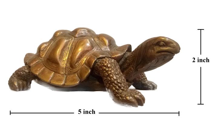 Copper%20Tortoise%205''%20By%20Tamo%20Collectibles%20-%20Image%203