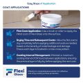 Flexi Glass Clear Shield 1 litre with Brush Transparent Waterproof Glue for Roof Leakage Crack Seal Glue Roof Water Leakage Solution Epoxy Resin for Waterproofing Gap Filler for Pipe Wall Tiles. 