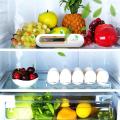 Sterilizer and Deodorizer for Refrigerator. 