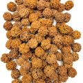 Original Nepali 5 Mukhi Rudraksha For Puja 1 kg. 