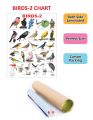 Dreamland Birds-2 Educational Wall Chart. 