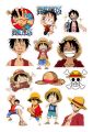 Luffy Sticker Set- 13 pcs | Sticker Pack for Laptop | Decalsnation. 