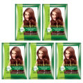 Prem Dulhan Mehendi Hair Henna 50 gm (Pack of 5). 