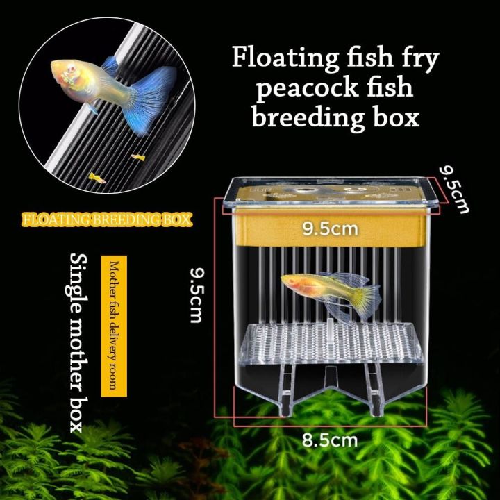 Rectangular Box Hatching New Transparent Fish Breeder Box Square Detachable Floating Hatching ...