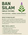 Ban Silam ( Himalayan Mint ) Seed / Bunsilam / Bansilam - 200gm. 