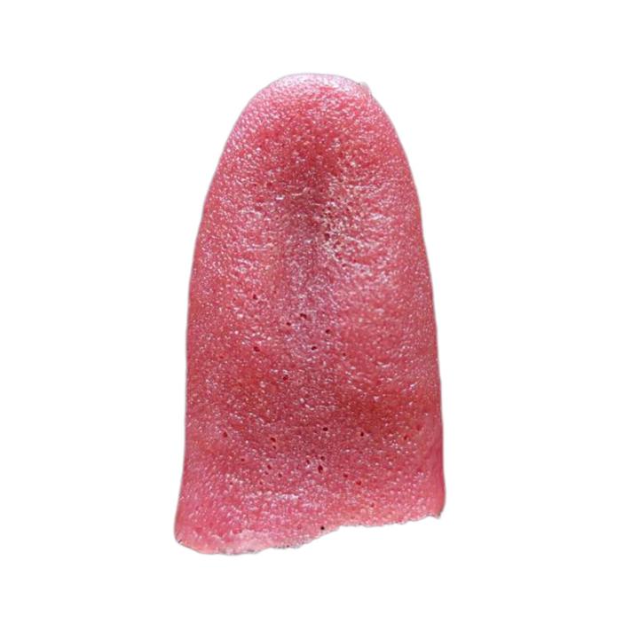 Latex Tongue Prop for Magic Realistic Fake Tongue Prop for Magic Shows Halloween Scary Funny Trick Tool Adults Kids Mentalism Magic