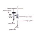 Hertz Oxygen Rotameter and Humidifier. 