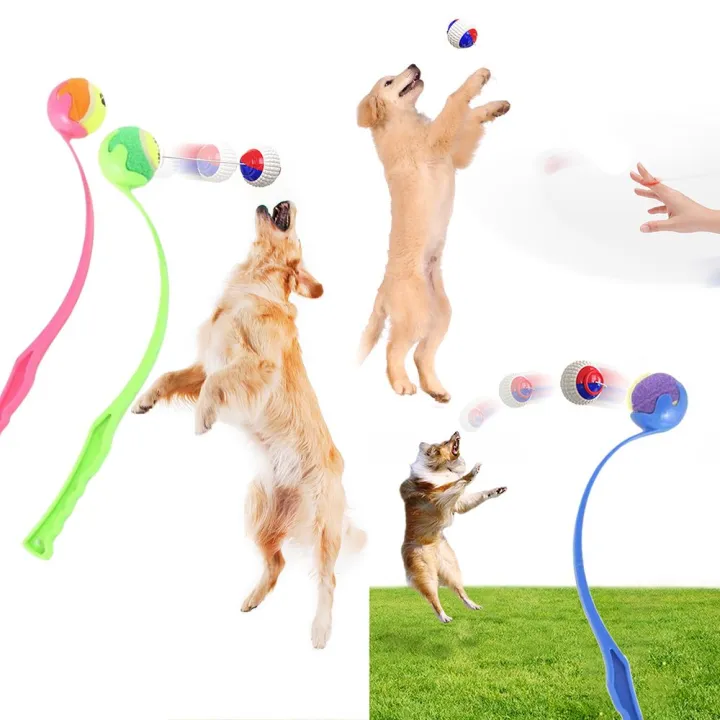 Device Long Throw Dog Training Toy Dog Ball Thrower Launcher ...