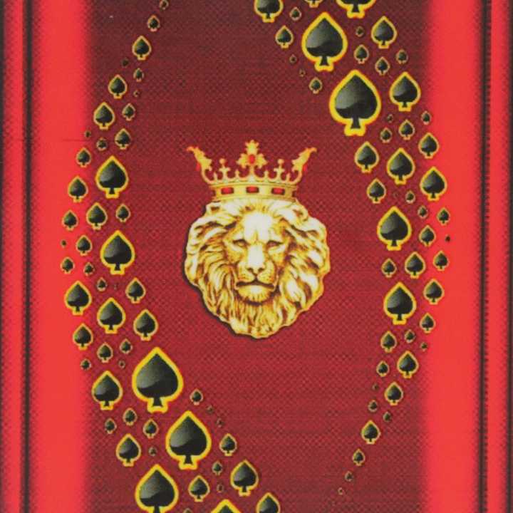 Mobile%20Back%20Sticker%20Wrap%20Lion%20Printed%20For%20All%20Vivo%20Model%20-%20Image%203