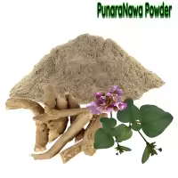 पुनर्नवा पाउडर