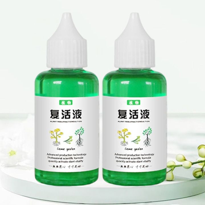 Efficiently%20Root%20Stimulator%20Plant%20Resurrection%20Liquid%20Fruit%20Liquid%20Root%20Booster%2050ml%20Succulent%20Rooting%20Nutrient%20-%20Image%207