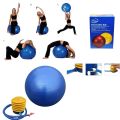Gymnastic Ball 65Cm King Lion Burst Resistance. 