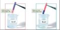 Litmus Paper Strips -100 Red & 100 Blue Strips For Testing Acid & Alkali | Litmus Indicator Test Strips - 200 Strips. 