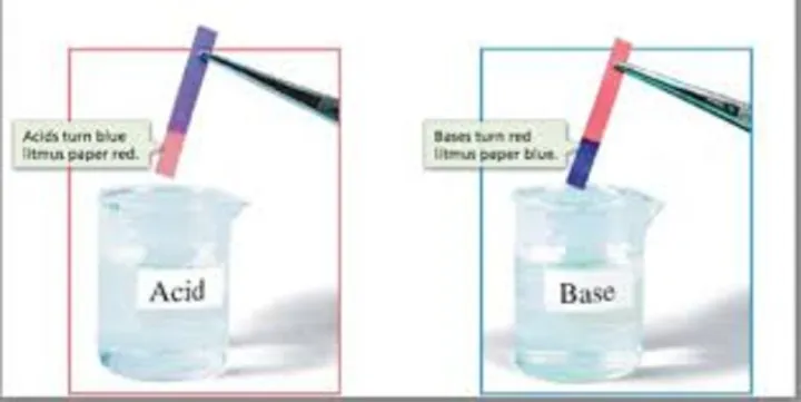 Litmus%20Paper%20Strips%20-100%20Red%20&%20100%20Blue%20Strips%20For%20Testing%20Acid%20&%20Alkali%20%7C%20Litmus%20Indicator%20Test%20Strips%20-%20200%20Strips%20-%20Image%202