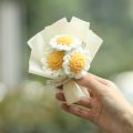 Cute Hand Woven Puffs Crochet Flowers Hand-Knitted Mini Size Flower Bouquet Gift for Lovers Crochet Knitted Flowers Valentine's Day. 