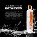 Genive Long Hair Fast Growth Shampoo of 265 ML. 
