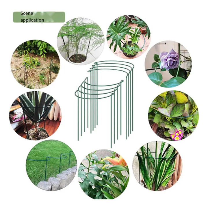 12%20Pack%20Large%2060cm%20Tall%20Bow%20Plant%20Support%20Stakes,%20Strong%20Metal%20Garden%20Supports%20Half%20Round%20Flower%20Hoops%20-%20Image%205