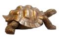 Copper Tortoise 5'' By Tamo Collectibles. 