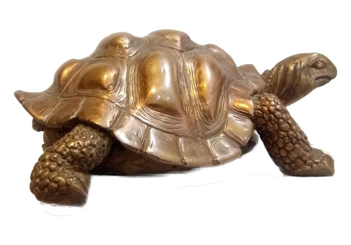 Copper%20Tortoise%205''%20By%20Tamo%20Collectibles%20-%20Image%204