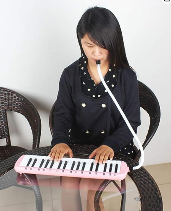 32%20Keys%20Pianica%20Piano%20Melodica%20Musical%20Instrument%20for%20Music%20Lovers%20Beginners%20Gift%20with%20Carrying%20Bag%E2%80%8B%20-%20Image%207