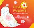 Niine Dry Comfort Ultra Thin XL Sanitary Pads 275mm 15 pads, Pack of 3 (45 PCS). 