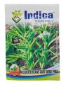 Vegetable Seed - 1 Packet Cluster Beans Agri Gwar Phali Seeds By Savyata Stores For Kitchen Garden. 
