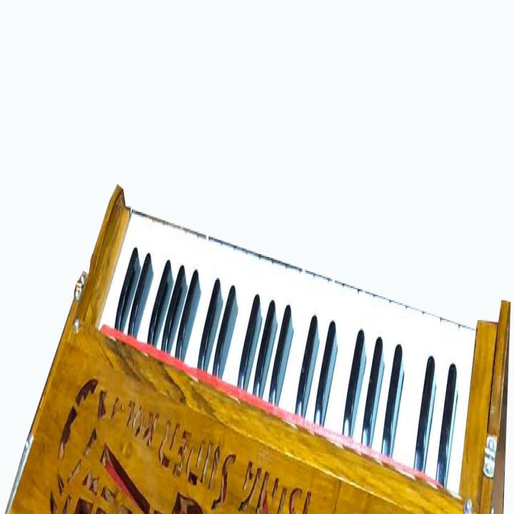 Bina Super Harmonium