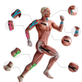 Blue Color Kinesiology Physiotherapy Tape (5m x 5cm). 