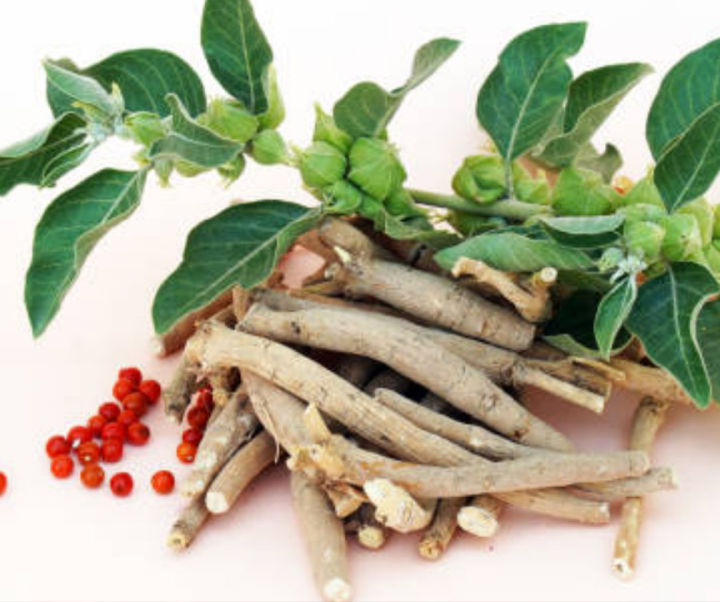 Ashwagandha%20/%20Ashwagandha%20Capsule%20-%2060%20Capsule%20-%20Gorkha%20Company%20-%20Image%203