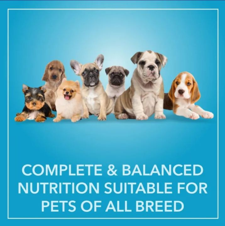 PUREPET%20Chicken%20And%20Vegetable%20Adult%20Dry%20Dog%20Food%203kg%20-%20Image%204