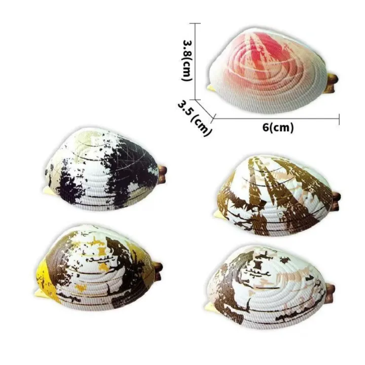 Gifts%20Portable%20Water%20Spray%20Toy%20Simulation%20Clam%20Press-type%20Water%20Spray%20Clam%20Beach%20Water%20Play%20Toy%20Children's%20Flower%20Shell%20Water%20Absorbing%20-%20Image%202
