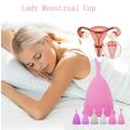 EcoFlow: Reusable Menstrual Cup with Folding Design. 
