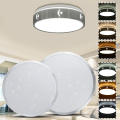 LED Ceiling Light Ceiling Lamp Dimmable Lighting Fixture Modern Lamp Living Room AC220V-48W-stepless dimming-34cm. 
