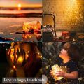50 Led, 5 Meter Water Proof Starry Lights, Warm White Wine Bottles, Glass Twinkle Light Lamp, Battery Operated Starry Fairy Lights For Christmas Halloween, Bedroom, Birthday Parties, Wedding, DIY Home Decor[light only]. 
