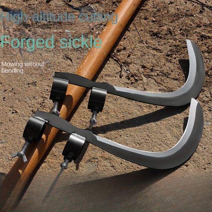 Hasiya%20with%20attached%202%20clip%20sickle%20-%20Image%203