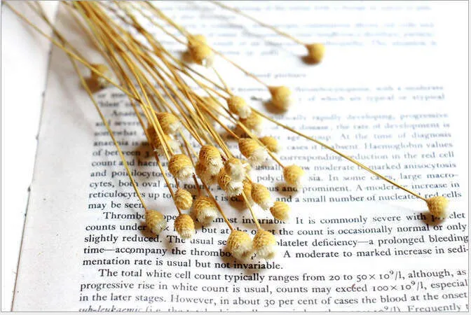 Dried%20Eternal%20Fresh%20Style%20Mori%20Girl%20with%20Glass%20Bottle%20Brazilian%20Happy%20Flowers%20Original%20Color%20White%20-%20Image%202