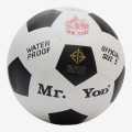 Mr. Yod Football Official Size. 
