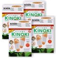 Kinoki Cleansing Detox Foot Patch - 10 Pcs. 