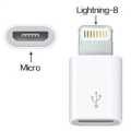 Adapter for Lightning Connector to Micro USB Converter. 