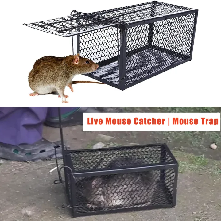 Reusable%20Traditional%20Metal%20Mouse%20Trap%20Cage%20%E2%80%93%20Humane%20Live%20Catch%20Rodent%20Control%20for%20Garden%20&%20Home%20%7C%20No-Kill%20Rat%20&%20Mice%20Trap%20Cage%20%7C%20Easy-to-Use%20Reusable%20Rodent%20Catcher%20-%20Image%202